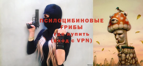 a pvp Арсеньев