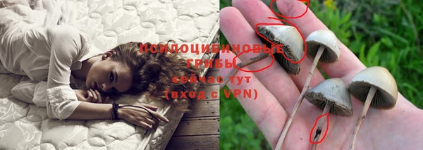 a pvp Арсеньев